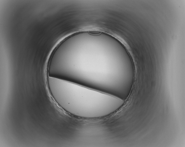 X0000115851008200911131123