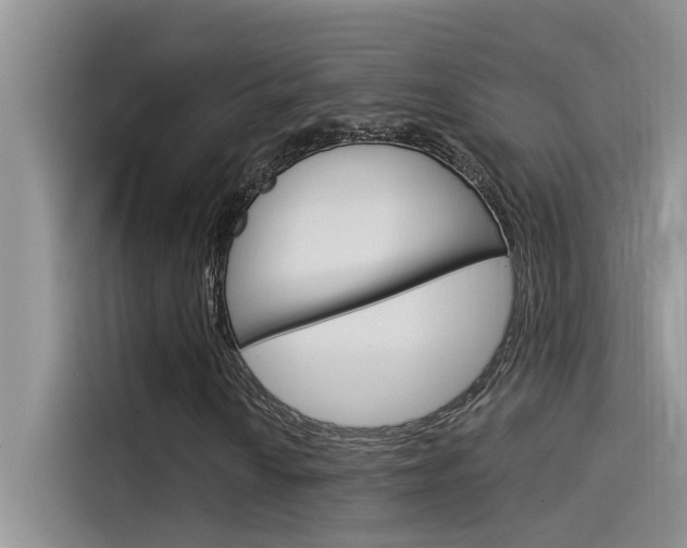 X0000115851010200911131122