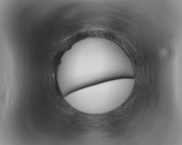 X0000115851013200911131122