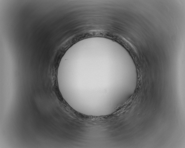 X0000115851015200911131122