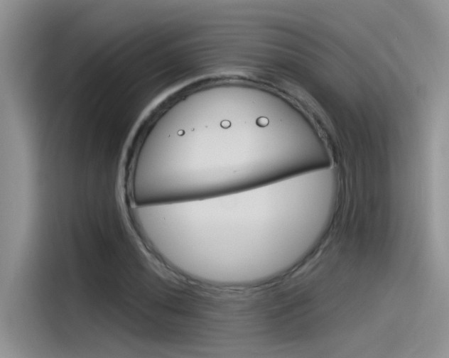 X0000115851020200911131122