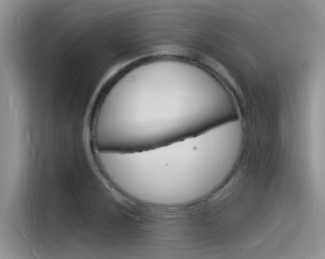 X0000115851024200911131122
