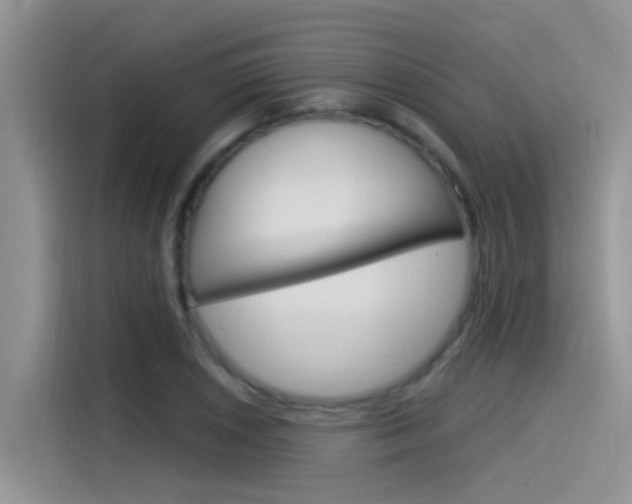 X0000115851026200911131122