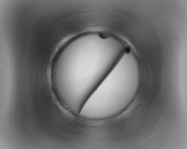 X0000115851030200911131122