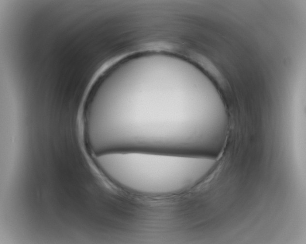 X0000115851032200911131122