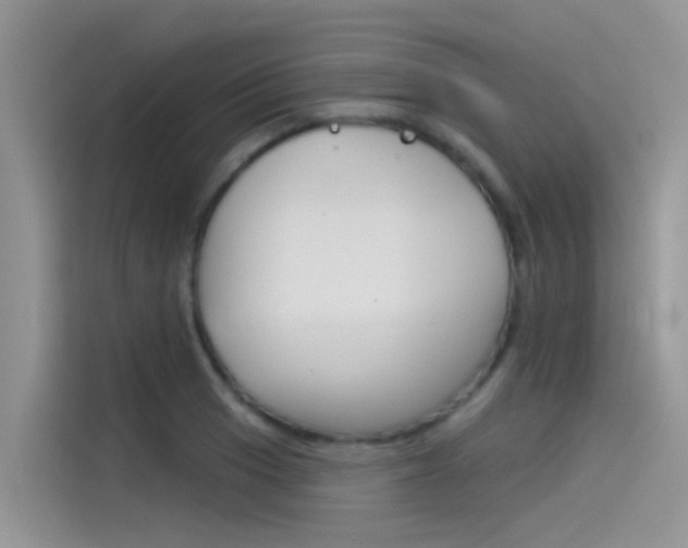X0000115851033200911131122