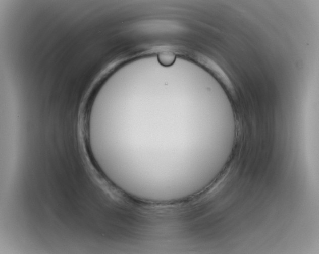 X0000115851043200911131122