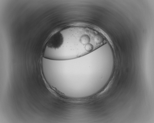 X0000115851049200911131122