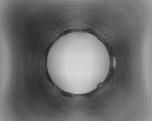 X0000115851059200911131122