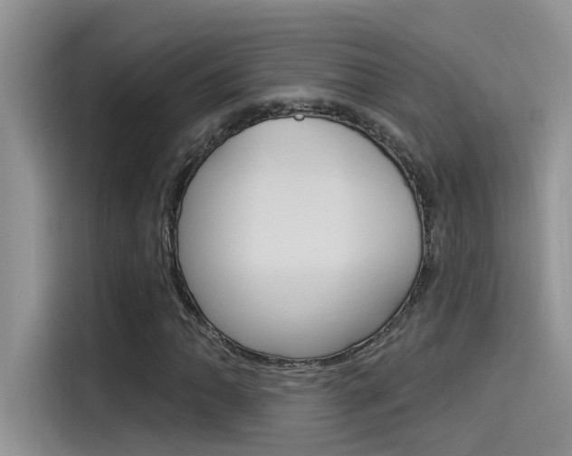 X0000115851062200911131122
