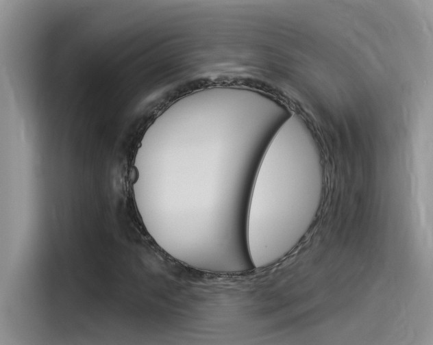 X0000115851063200911131122