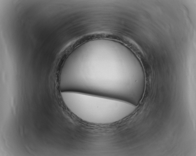 X0000115851064200911131122