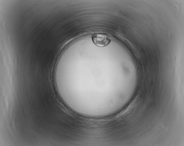 X0000115851065200911131122