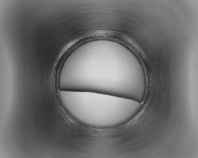X0000115851066200911131122