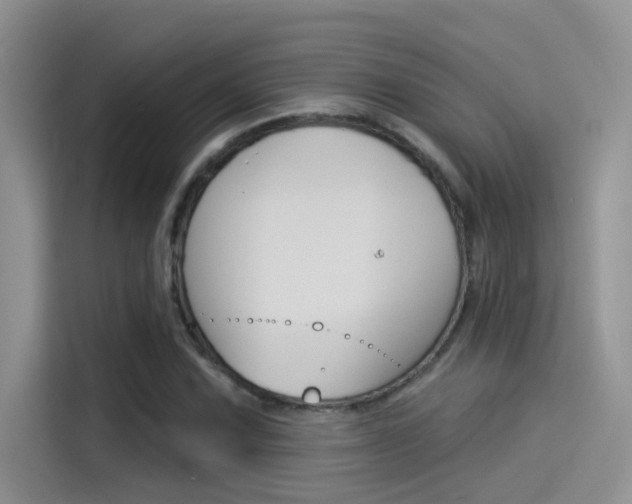 X0000115851067200911131122