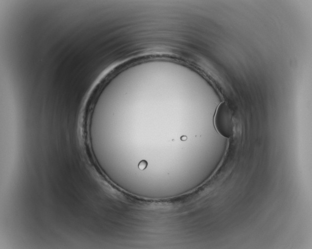 X0000115851068200911131122