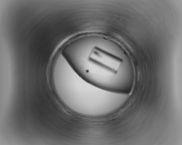 X0000115851069200911131122
