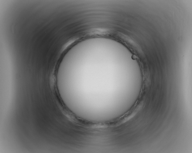 X0000115851073200911131122