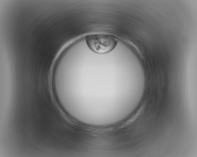 X0000115851077200911131122