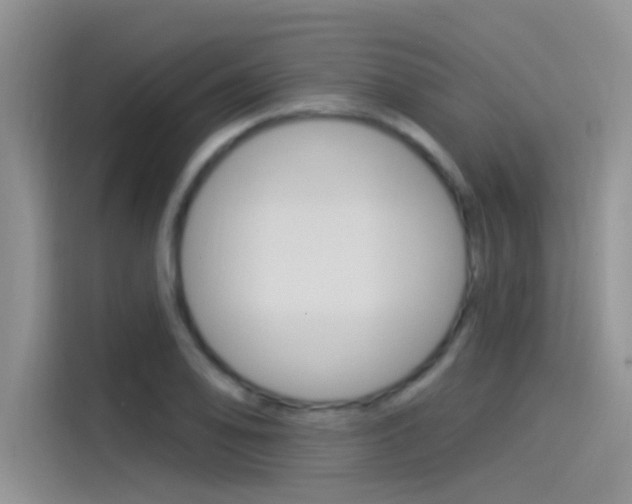 X0000115851078200911131122