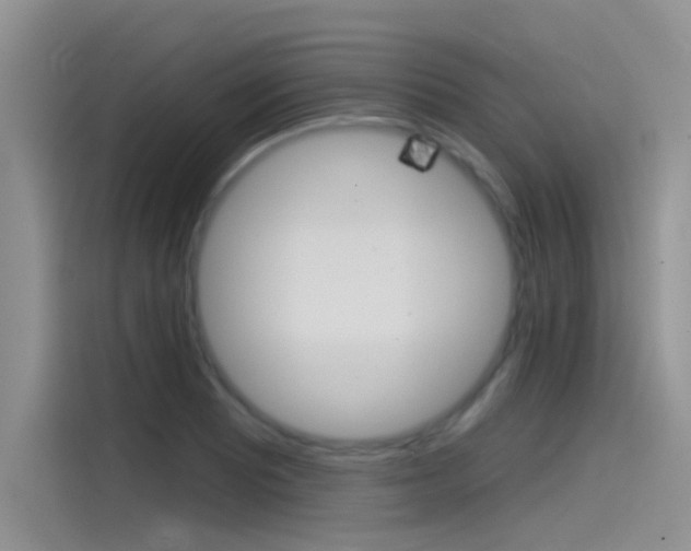 X0000115851081200911131122