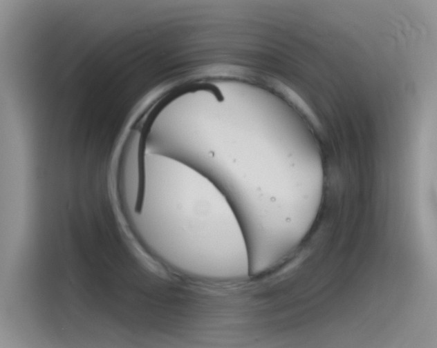 X0000115851082200911131122
