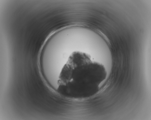 X0000115851083200911131122
