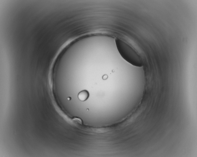 X0000115851084200911131122