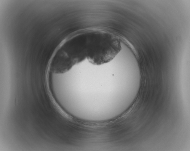 X0000115851091200911131121