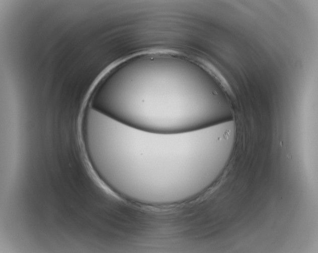X0000115851092200911131121