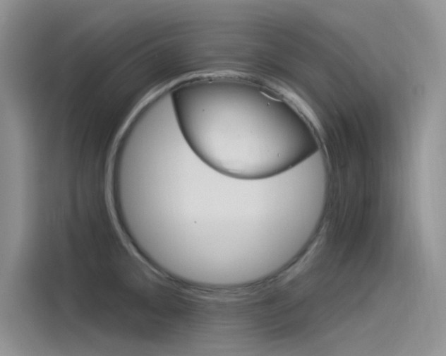 X0000115851093200911131121