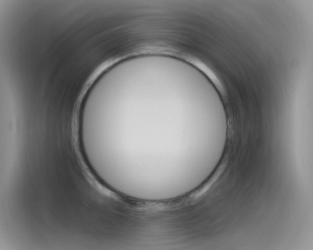 X0000115851094200911131121