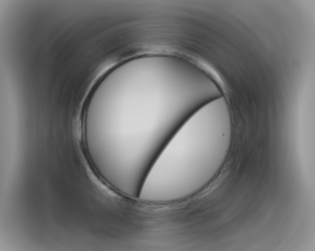 X0000115851095200911131121