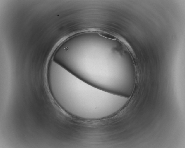 X0000115851096200911131121