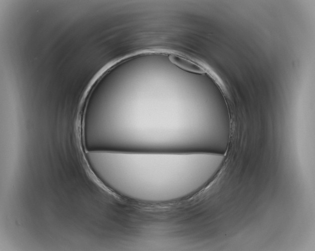 X0000115851100200911131121