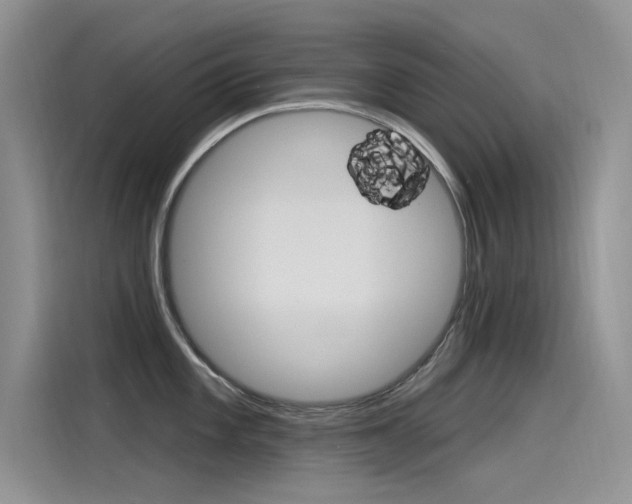 X0000115851101200911131121