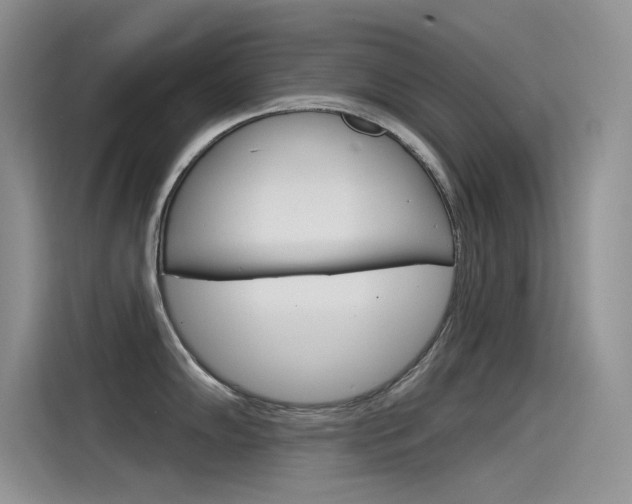 X0000115851102200911131121