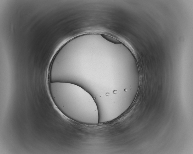 X0000115851103200911131121