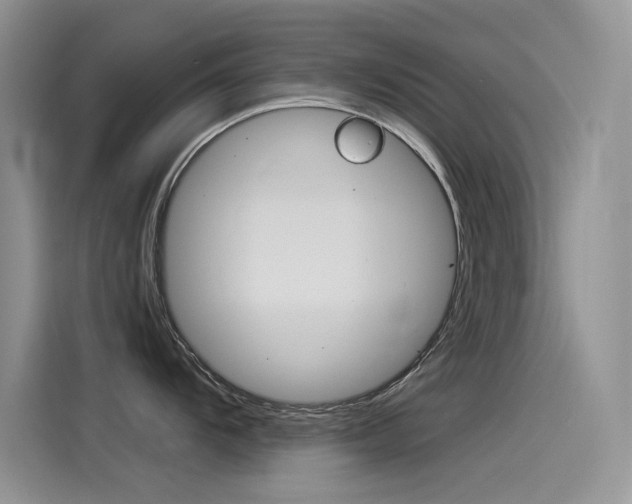 X0000115851104200911131121