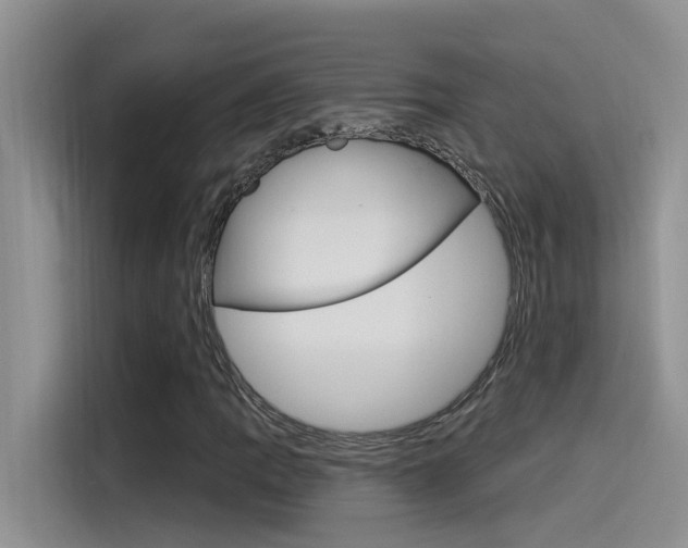 X0000115851109200911131121