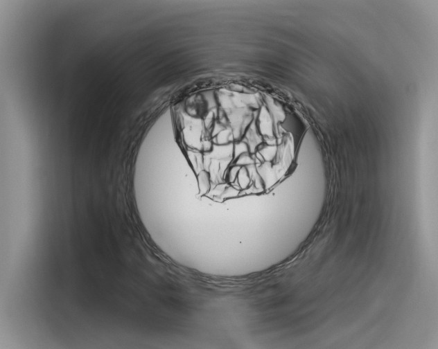 X0000115851110200911131121