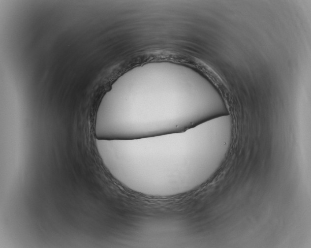 X0000115851111200911131121