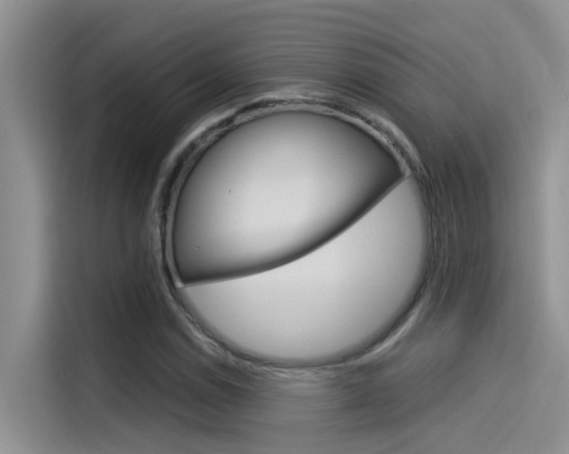 X0000115851114200911131121