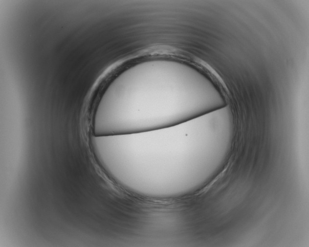 X0000115851115200911131121
