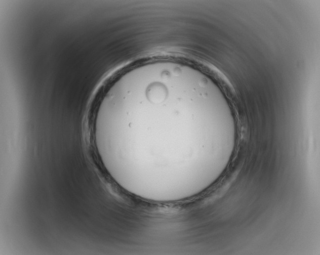 X0000115851117200911131121