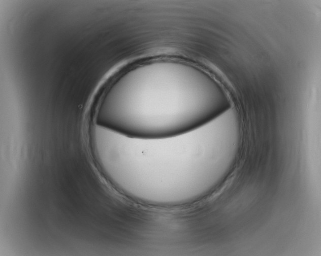 X0000115851118200911131121