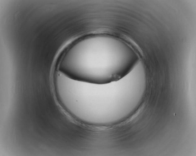 X0000115851122200911131121