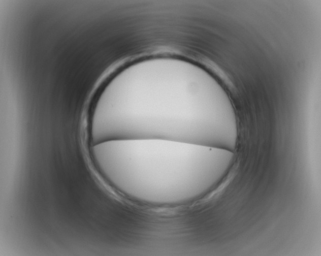 X0000115851126200911131121