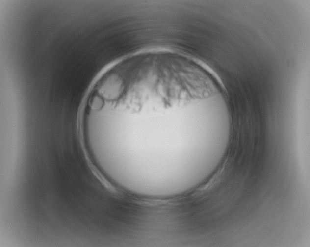 X0000115851127200911131121
