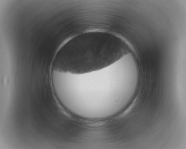 X0000115851129200911131121